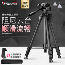 Weifeng tripod Professional photography Hydraulic damping gimbal Portable SLR camera live micro single Canon camera
