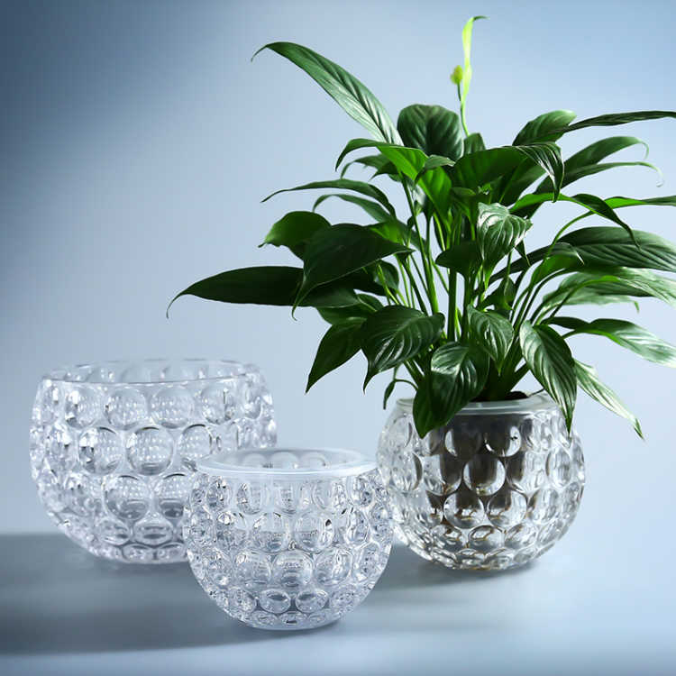 Little more pure and fresh glass vase hydroponic planting green, the plants money plant flower implement transparent sitting room tea table decoration furnishing articles