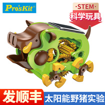Pro skit treasure work solar powered wild boar boy stem kop toy assembly model New Year gifts