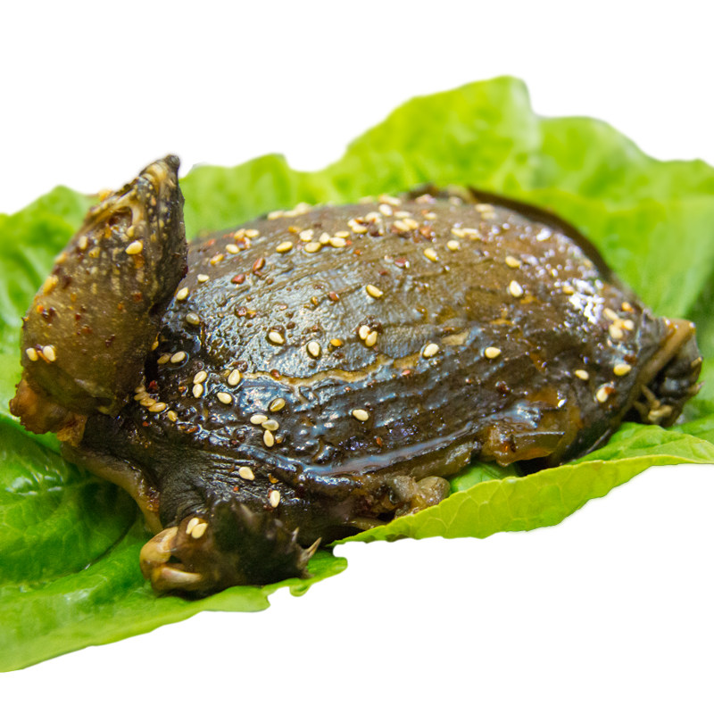 好劲来甲鱼肉熟食即食香辣红烧真空卤甲鱼现杀现卤整只老鳖王八肉