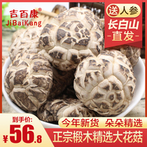 Jibaikang Northeast Basswood dried mushroom 500g dried shiitake mushroom Mushroom bulk Xiangru non-wild premium