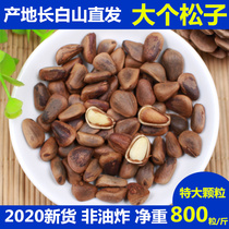 New northeast Changbai Mountain hand-peeled extra large opening pine nuts 500g bulk super large particles wild weighing Jin pine seeds