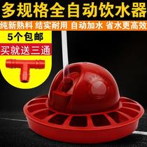 Ten drinking fountains for chicks automatic drinking chicks automatic drinking water bottles brooding chickens ducks and geese drinking water