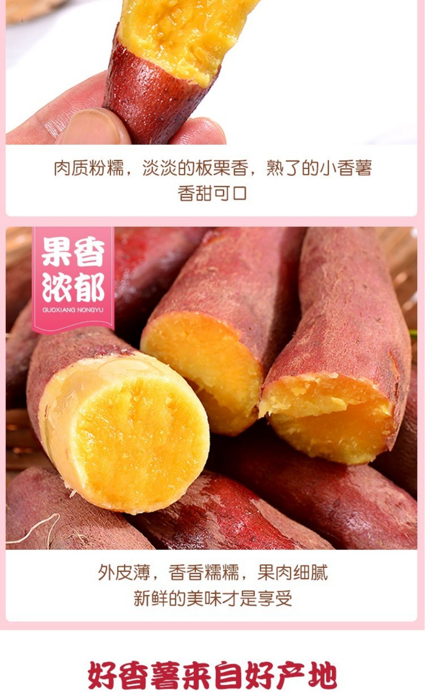 新鲜临安天目山小香薯中果5斤心香红薯现挖农家蜜薯沙地瓜板栗薯_惠亿