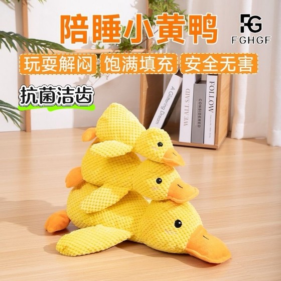 Dog toys vocalized Bite the assault duck, small and medium -sized dog Cordi Teddy pet cat consume physical strength to relieve stuffy artifacts
Dog toys vocalized Bite the assault duck, small and medium -sized dog Cordi Teddy pet cat consume physical strength to relieve stuffy artifacts