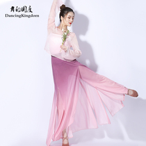 New Chinese style folk dance under the classical dance dress female elegant performance costume female summer practice clothing