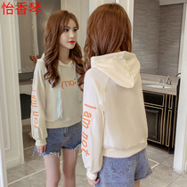 Sweater 2020 Spring Girl 12 New Korean version 13 relaxed 14 Lianhood 15 Junior High School students 16 Big 17 children