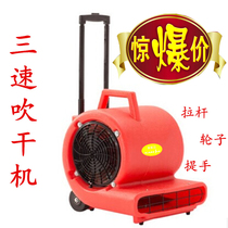 High-power hairdryer hotel carpet dryer public toilet floor dryer XS-900W