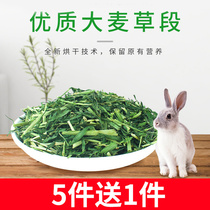 Barley grass section rabbit grain rabbit Dutch pig ChinChin grain feed hay pasture rabbit hay grass Food 100g