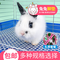 Rabbit foot pad anti-biting pad board pigeon chicken dog Dutch pig Rabbit Rabbit pad foot leakage floor pet rabbit cage cushion