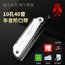 German imported Feihuang harmonic harmonica boat type 10 hole 40-tone beginner students children playing adult musical instruments