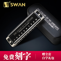 Swan dreamer harmonica 10 holes Blues blues harmonica C tune children beginner self-study students professional performance