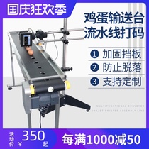 Fully automatic adjustable egg conveyor handheld inkjet printer production date small egg assembly line transmission
