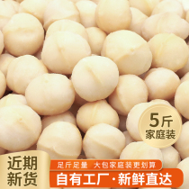 Australian Hawaiian nuts plain no addition bulk 5kg baking for shelled nut cream snacks