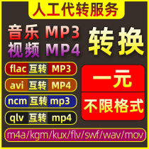 Music Format converter ncm kgm qmc kwm m4a kux Song qsv video flac to MP3mp4