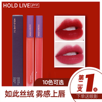 HOLD LIVE SMALL STRAW Air lip glaze Velvet matte matte red brown female student affordable niche lipstick