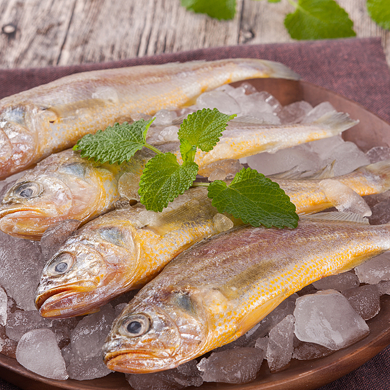 第2件5元东海野生小黄鱼冷冻小黄花鱼生鲜海鲜水产鲜活深海鱼海捕