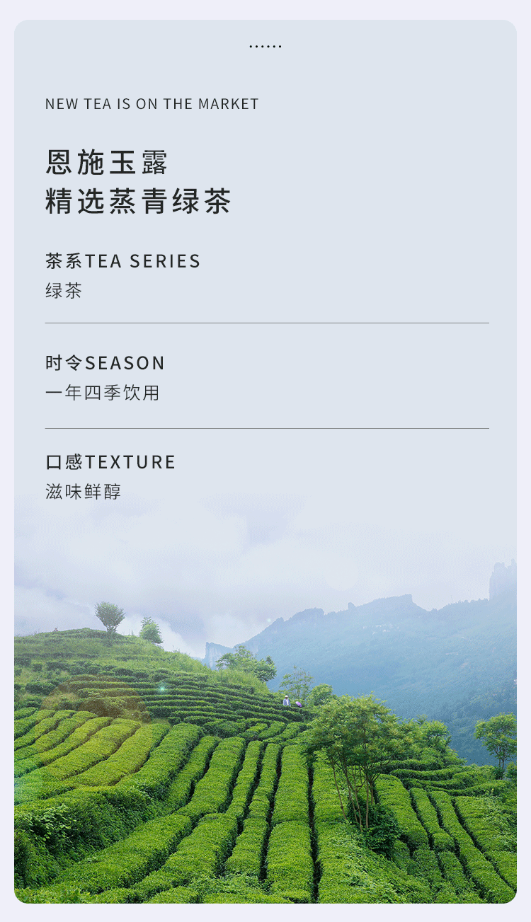 润邦茶业恩施玉露明前一级品鉴茶恩施玉露2号50克罐装