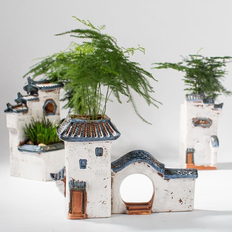 Office air large asparagus zen garden house home decoration is placed little old running the fleshy flowerpot ceramics