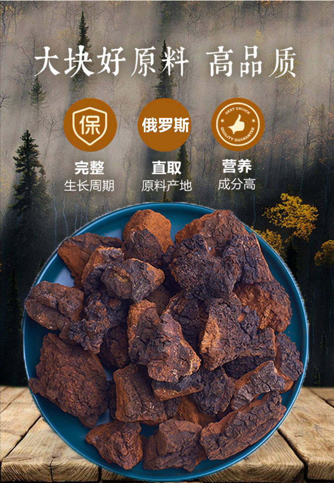 俄罗斯进口昶虫堂野生特级白桦茸礼盒500g送250g