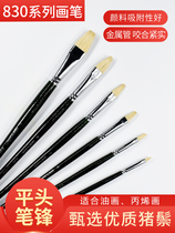 Qiancaile 830 series bristle flat head fishtail brush watercolor gouache oil painting acrylic paint brush single brush set for art students