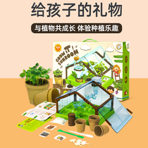 2021 New Girl Girls Birthday Gift 6 Year Old Girl Toy 790 Girls 8 Children 10 Yiji