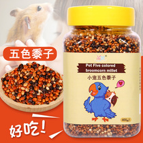 Five-color millet feed with shell millet Xuanfeng hamster peony tiger skin small bird parrot food supplies canned