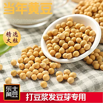 【500克*2袋】鲸小侠豆浆专用黄豆[2元优惠券]-寻折猪