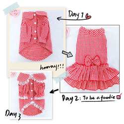 Pet Clothing Plaid Shirt Doll Collar Lace Skirt Spring, Summer and Autumn Pomeranian Teddy Panda Puppy Clothes