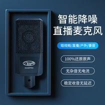 Sound Nair D249rpo internal and external sound card condenser microphone 48V large diaphragm professional live voice microphone