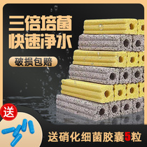 Bacteria house Fish tank filter material Aquarium bottom filter material Upper filter bottom filter Nitrified bacteria house Quartz nano-bacteria house