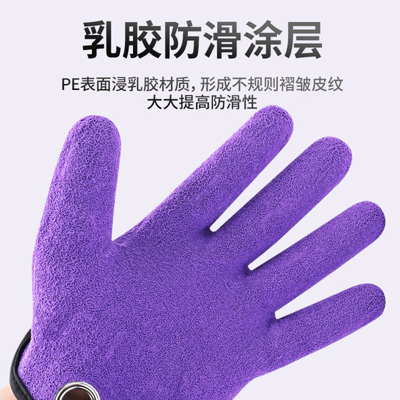 겨울 낚시를위한 겨울 따뜻한 낚시 장갑 겨울, 방지 방지, 방수, 방지 방지, 미끼, 플라이 범프, 남성을위한 낚시를위한 특수 장갑 겨울 낚시를위한 겨울 따뜻한 낚시 장갑 겨울, 방지 방지, 방수, 방지 방지, 미끼, 플라이 범프, 남성을위한 낚시를위한 특수 장갑