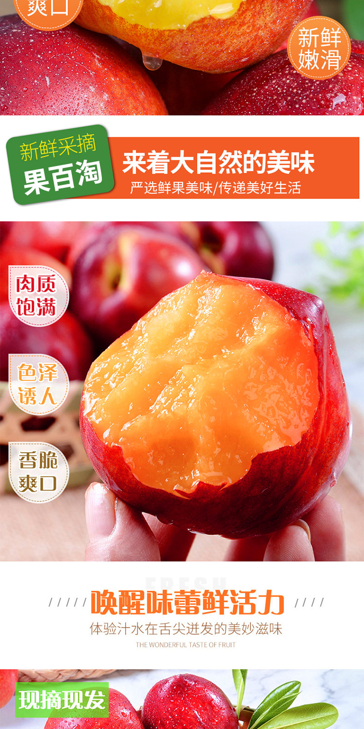 山西曙光黄肉油桃大果新鲜水果应当季脆甜黄心桃子5斤