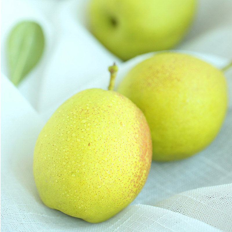 【产地直发5斤】脆梨新疆库尔勒香梨