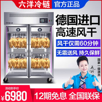 Roast duck air drying cabinet roast goose roast meat pigeon fresh-keeping dryer intelligent embryo drying cabinet commercial duck drying cabinet