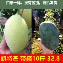Panzhihua Kate big mango first-class seasonal fresh green mango fruit with box 10 kg whole non-Jinhuang