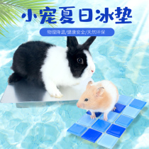Hamster summer heat cooling supplies rabbit Dutch pig golden silk bear mat heat dissipation summer aluminum plate ice bed ice box