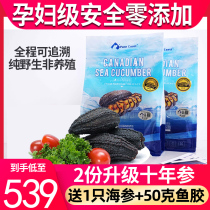 PureCoast Canada imported sea cucumber Wild 454g light dry Arctic cylinder ginseng Red pole Ginseng Non-Iceland