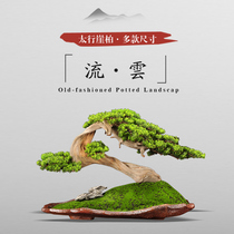 New Chinese simulation welcome pine cliff cypress Bonsai Arhat pine dry landscape entrance indoor natural stump overall decoration
