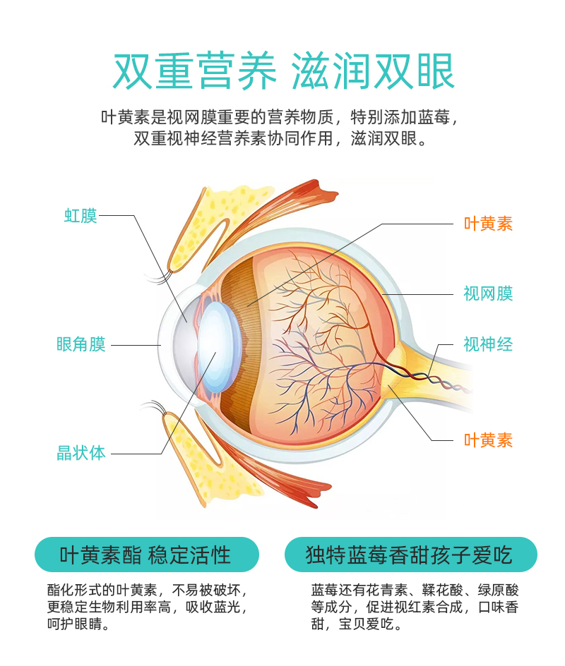 【嗨吃不胖】草献宝膳食纤维白芸豆60片