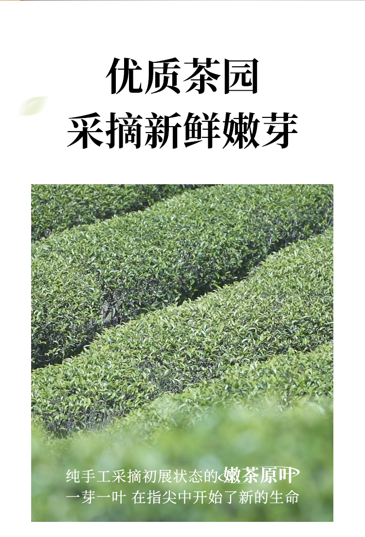 奈雪的茶一周好茶7袋/盒