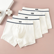 White boys' underwear pure cotton children's boxers category A 12-year-old boy student boxer shorts 3