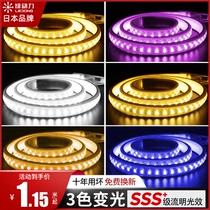 Lamp with led light strip 220v Living room Home ceiling flexible soft light with strip super bright outdoor waterproof line light