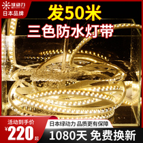 Green powered led lamp with 50 m-mounted living-room home ceiling Three-color soft light strip Outdoor waterproof ultra-bright light with strip