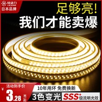 Lamp with Led Three Color Spotlight Strips Home 220v ultra bright Living room ceiling Outdoor waterproof light with strips of neon lights