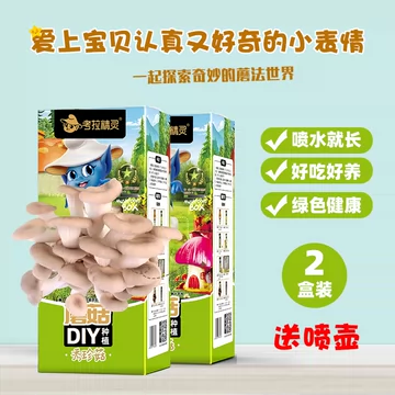 【两盒装】考拉精灵可食用diy菌棒菌种子[2元优惠券]-寻折猪