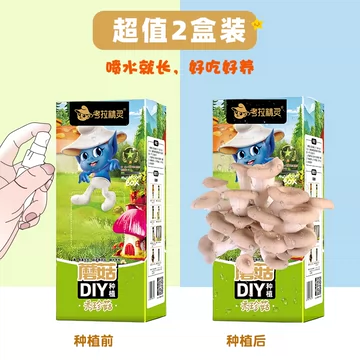 【两盒装】考拉精灵可食用diy菌棒菌种子[2元优惠券]-寻折猪