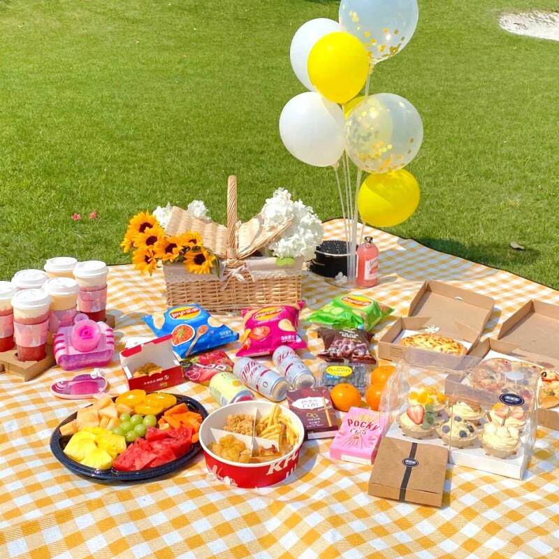 野餐垫防潮垫加厚户外野炊野营沙滩帐篷地垫