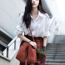 cc Song Yanfei star with the same paragraph 22 spring Korean version design sense niche retro Hong Kong flavor loose casual white shirt women