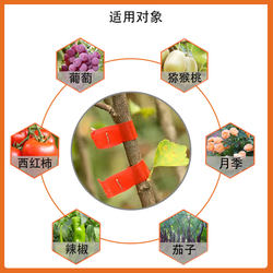 Suitable for branch tying machine with PVC tape, grape cherry tomato, pepper and rose special tying branch and vine Fulian tape bundle